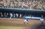 08923-5.jpg